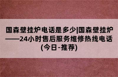 国森壁挂炉电话是多少|国森壁挂炉——24小时售后服务维修热线电话(今日-推荐)